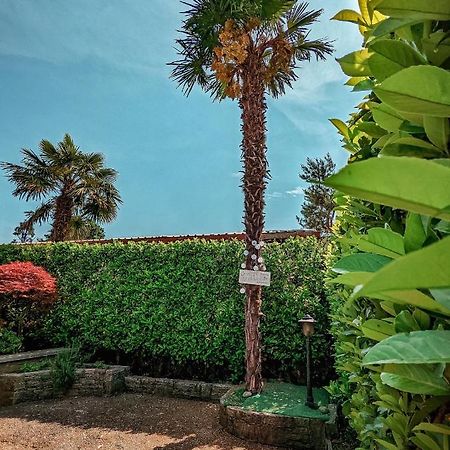 Villa Casa Victoria Castelletto sopra Ticino Exterior foto